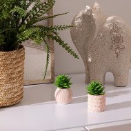 Mini plante décorative en ciment – Style moderne