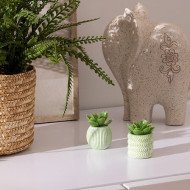 Mini plante décorative en ciment – Style moderne