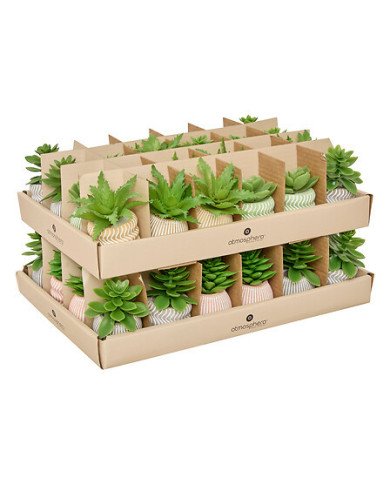 Mini plante décorative en ciment – Style moderne