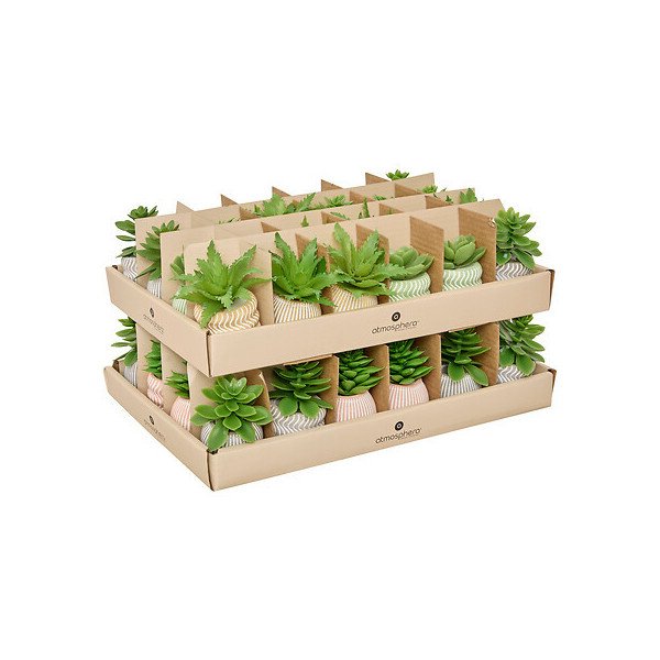 Mini plante décorative en ciment – Style moderne