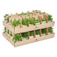 Mini plante décorative en ciment – Style moderne