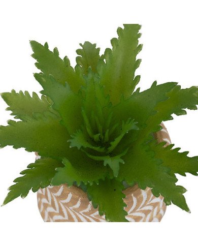 Mini plante décorative en ciment – Style moderne