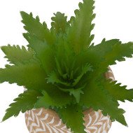 Mini plante décorative en ciment – Style moderne