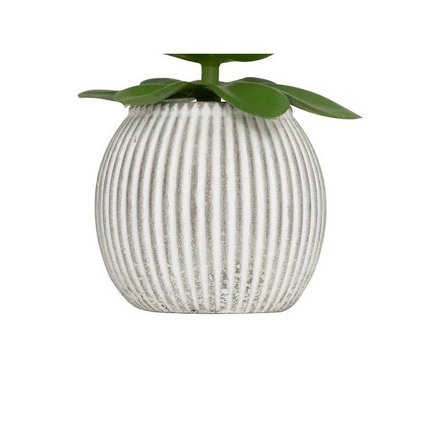 Mini plante décorative en ciment – Style moderne