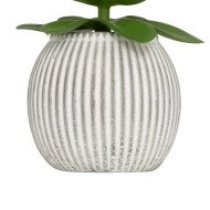 Mini plante décorative en ciment – Style moderne