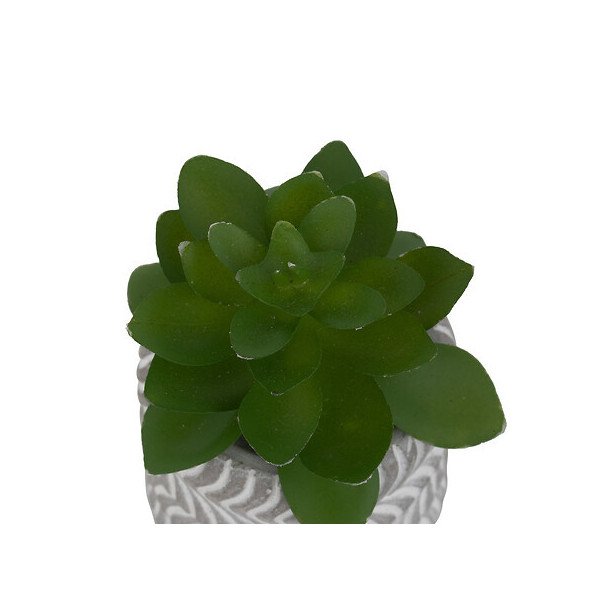 Mini plante décorative en ciment – Style moderne