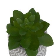 Mini plante décorative en ciment – Style moderne