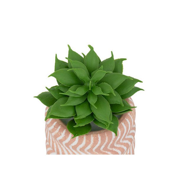 Mini plante décorative en ciment – Style moderne