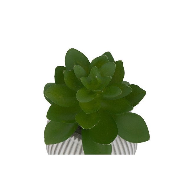 Mini plante décorative en ciment – Style moderne