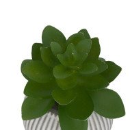 Mini plante décorative en ciment – Style moderne