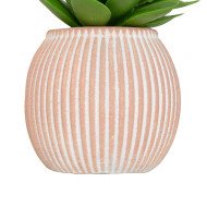 Mini plante décorative en ciment – Style moderne