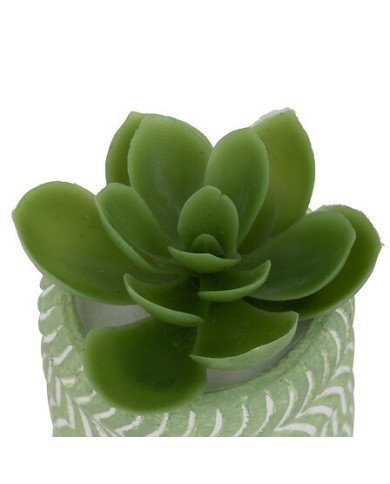 Mini plante décorative en ciment – Style moderne