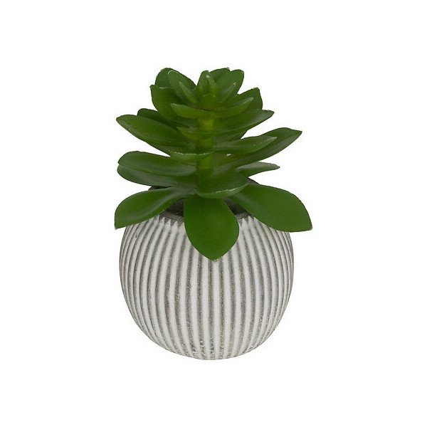 Mini plante décorative en ciment – Style moderne