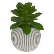 Mini plante décorative en ciment – Style moderne
