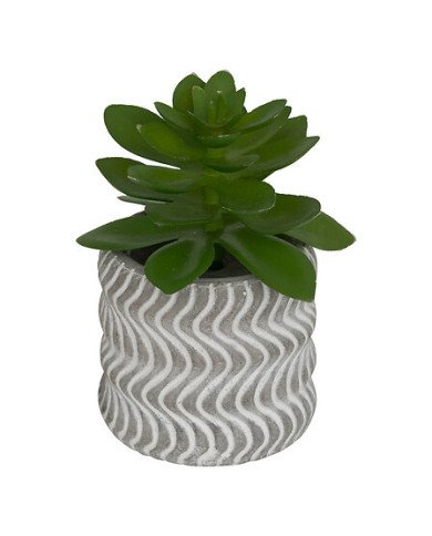 Mini plante décorative en ciment – Style moderne