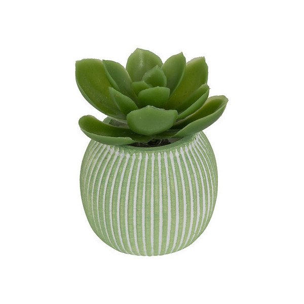 Mini plante décorative en ciment – Style moderne