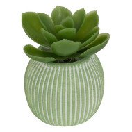 Mini plante décorative en ciment – Style moderne