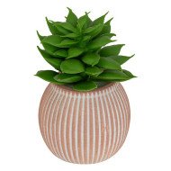 Mini plante décorative en ciment – Style moderne