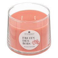 Bougie parfumée Izor fruits boisés 300 g – Grand format