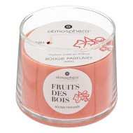 Bougie parfumée Izor fruits boisés 300 g – Grand format