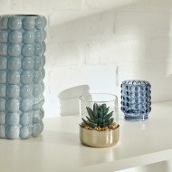 Terrarium décoratif en verre – Style naturel