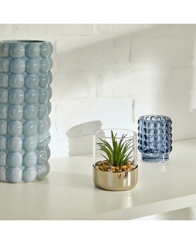 Terrarium décoratif en verre – Style naturel