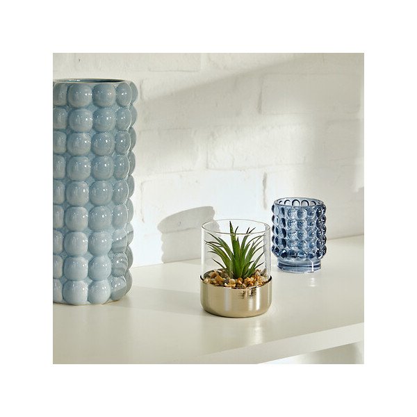 Terrarium décoratif en verre – Style naturel