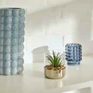 Terrarium décoratif en verre – Style naturel