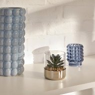 Terrarium décoratif en verre – Style naturel