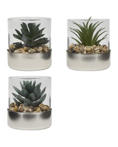 Terrarium décoratif en verre – Style naturel