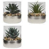Terrarium décoratif en verre – Style naturel