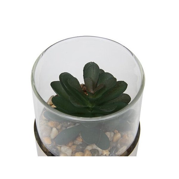 Terrarium décoratif en verre – Style naturel
