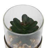 Terrarium décoratif en verre – Style naturel