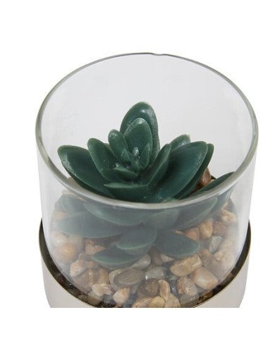 Terrarium décoratif en verre – Style naturel