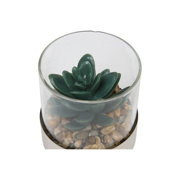 Terrarium décoratif en verre – Style naturel