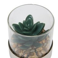 Terrarium décoratif en verre – Style naturel
