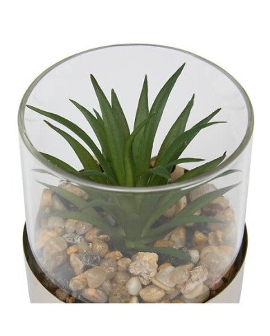 Terrarium décoratif en verre – Style naturel
