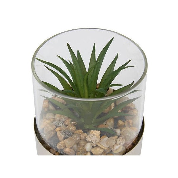 Terrarium décoratif en verre – Style naturel