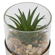 Terrarium décoratif en verre – Style naturel