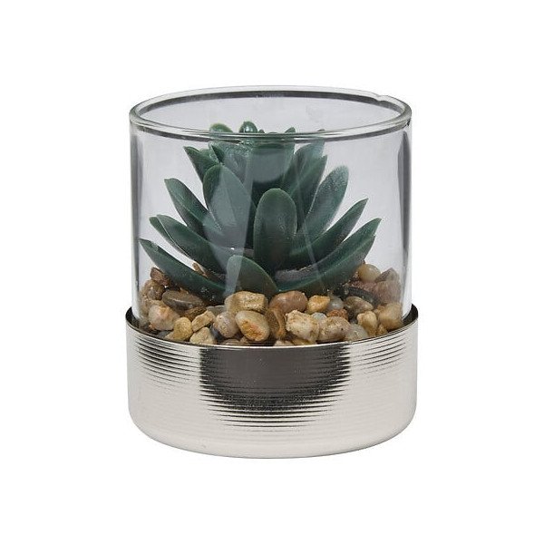 Terrarium décoratif en verre – Style naturel