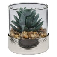 Terrarium décoratif en verre – Style naturel