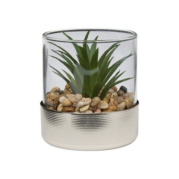 Terrarium décoratif en verre – Style naturel