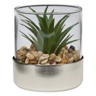 Terrarium décoratif en verre – Style naturel