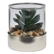 Terrarium décoratif en verre – Style naturel