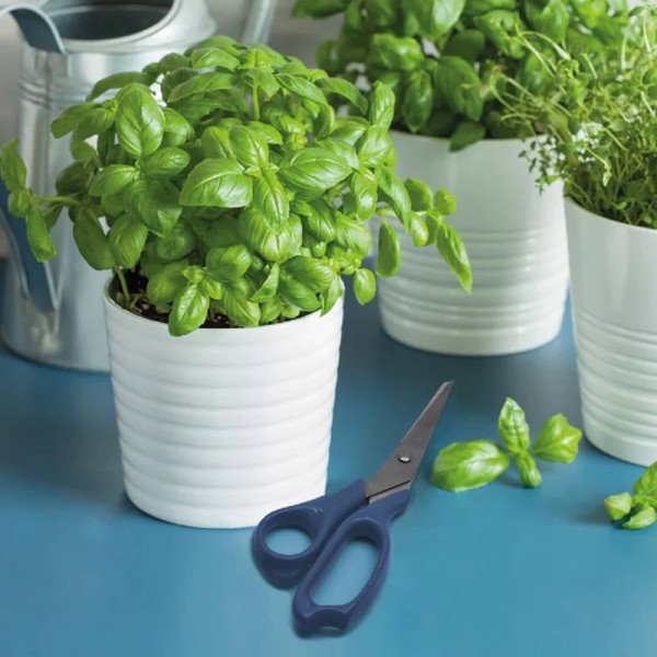 Ciseaux de cuisine Elemental - FACKELMANN Ciseaux de cuisine Elemental - FACKELMANN