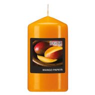Bougie parfumée Mangue et Papaye Ø 58mm - 110mm - CASADECO